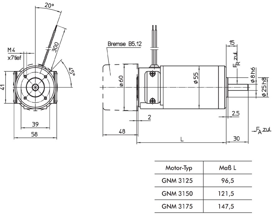 Blueprint of the ENGEL Motor